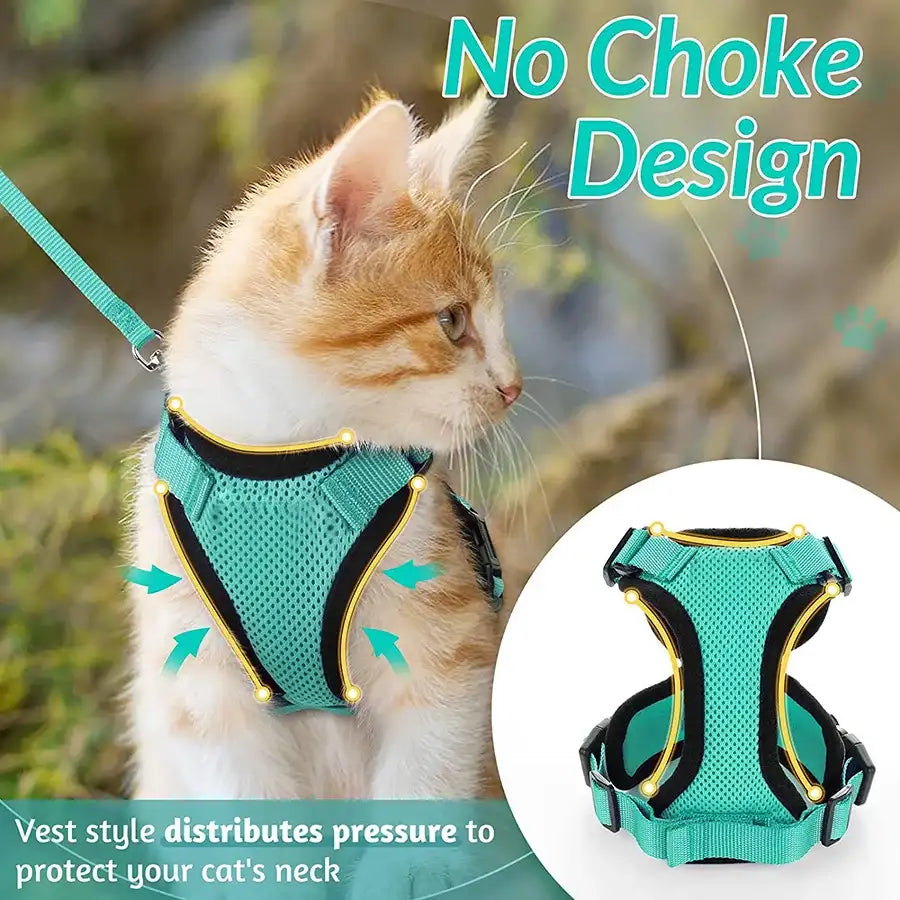 Give Your Cat the Comfort & Safety They Deserve!