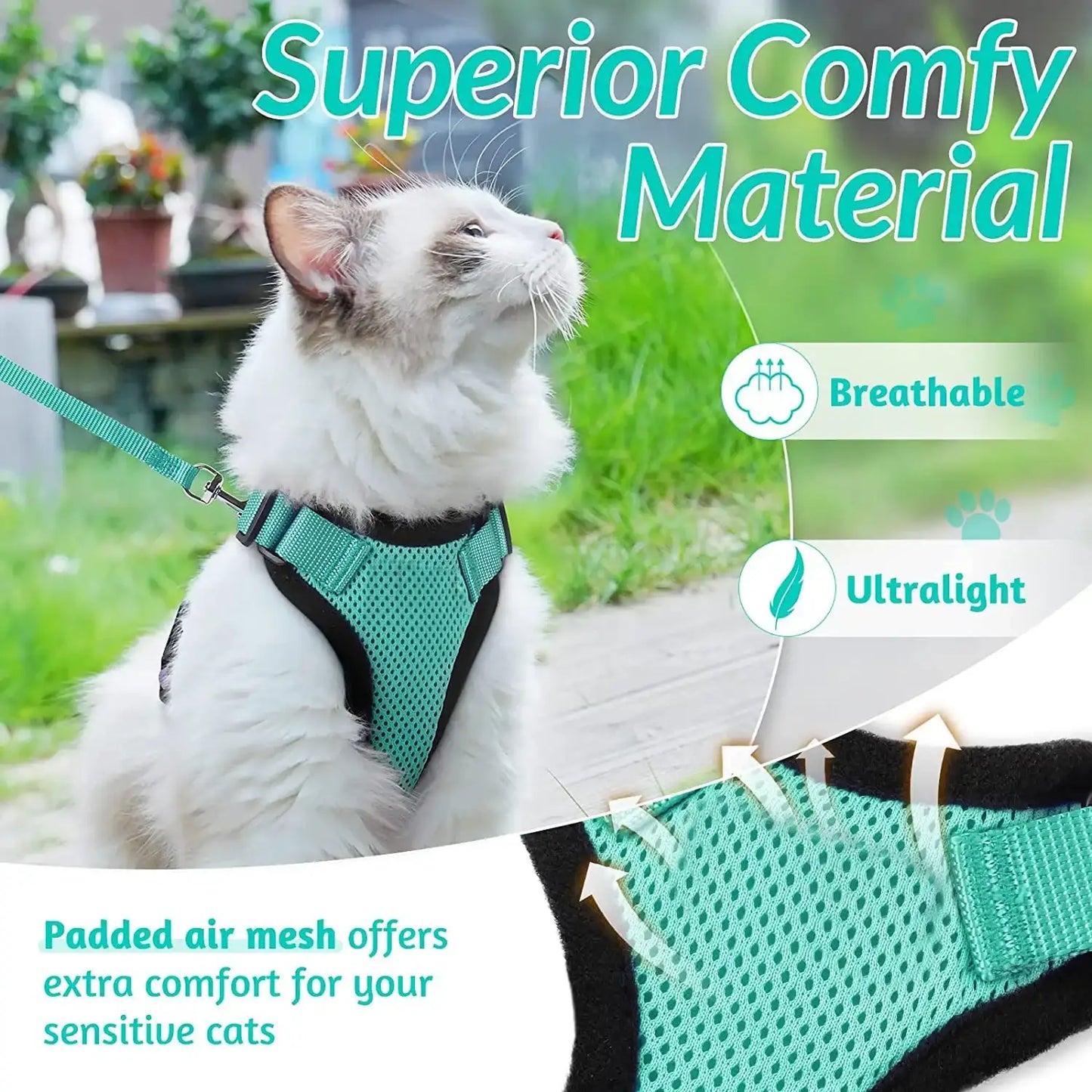Give Your Cat the Comfort & Safety They Deserve!
