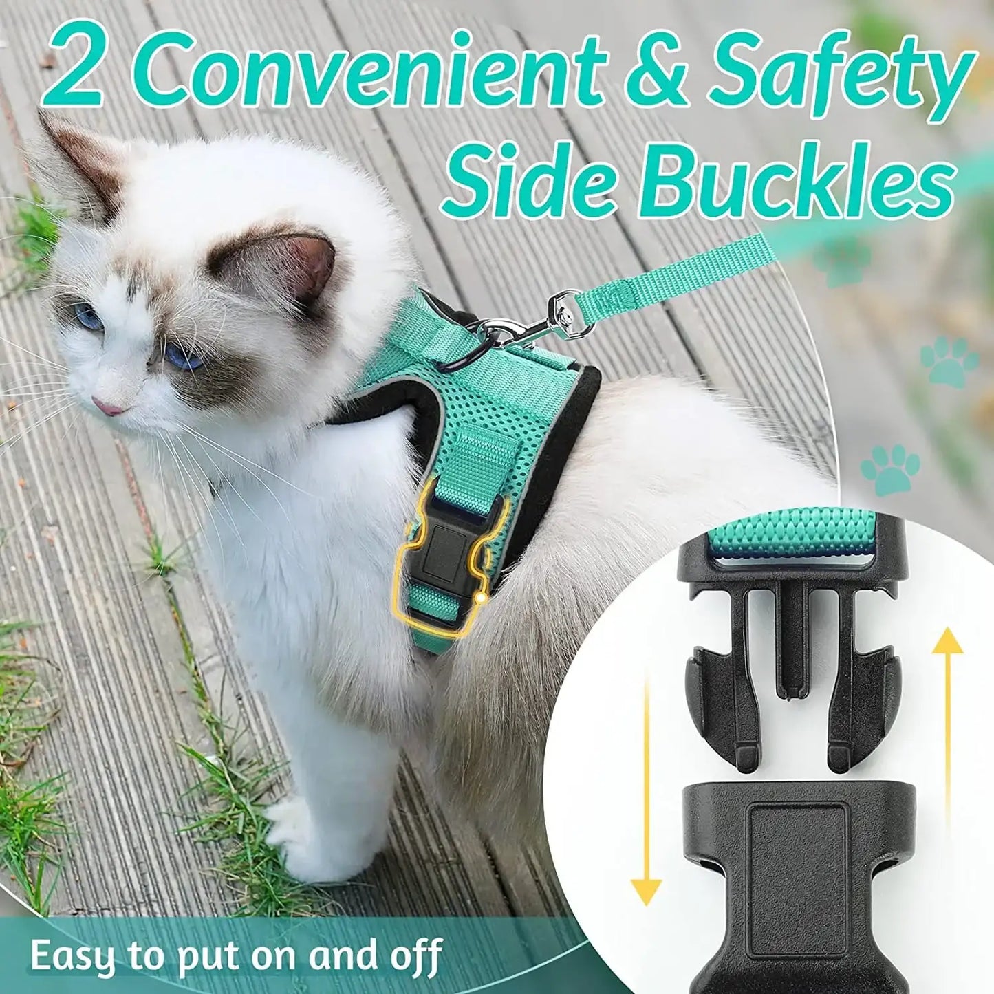 Give Your Cat the Comfort & Safety They Deserve!