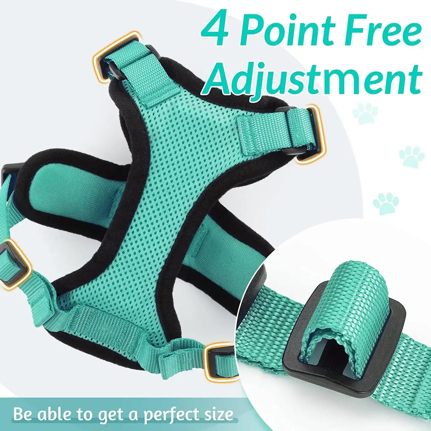 Give Your Cat the Comfort & Safety They Deserve!