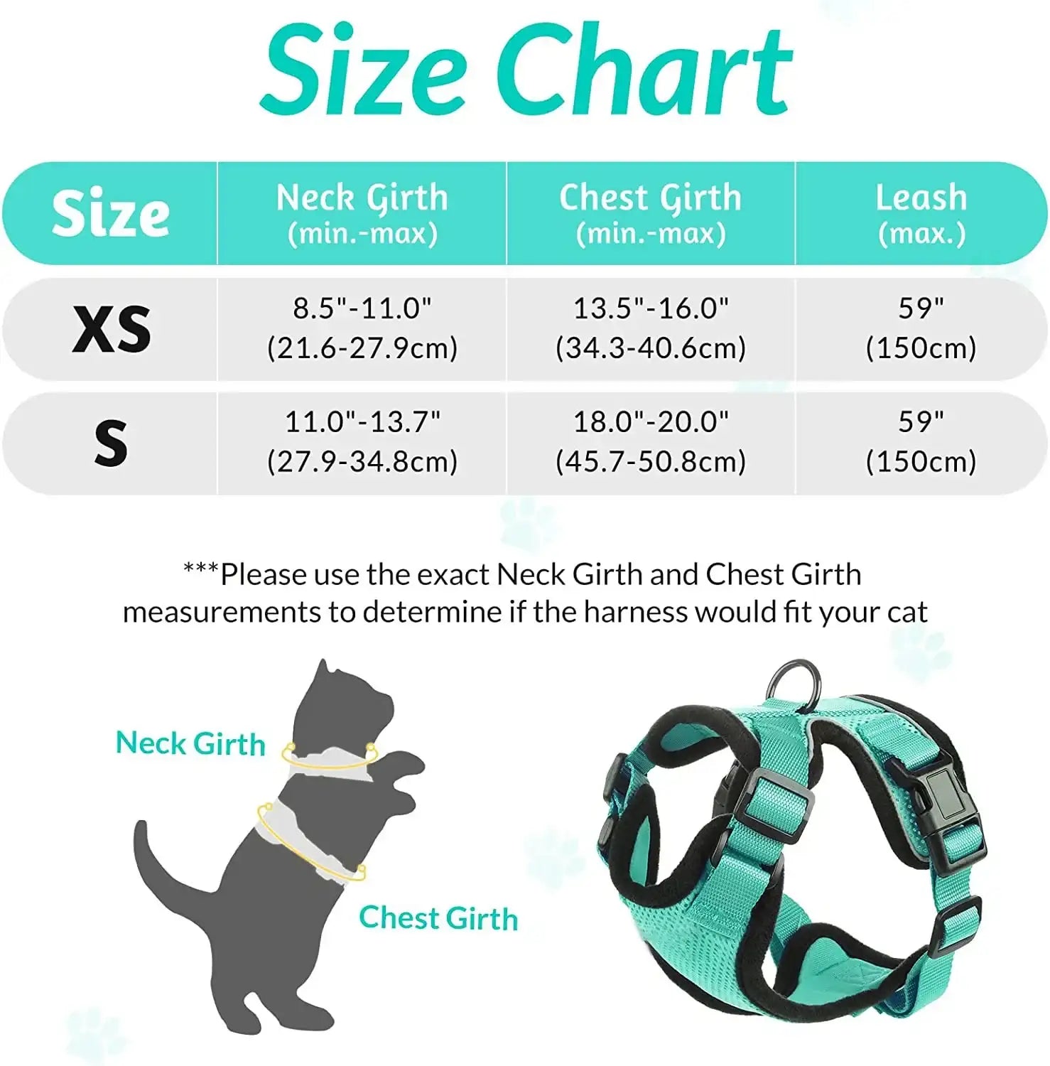 Give Your Cat the Comfort & Safety They Deserve!