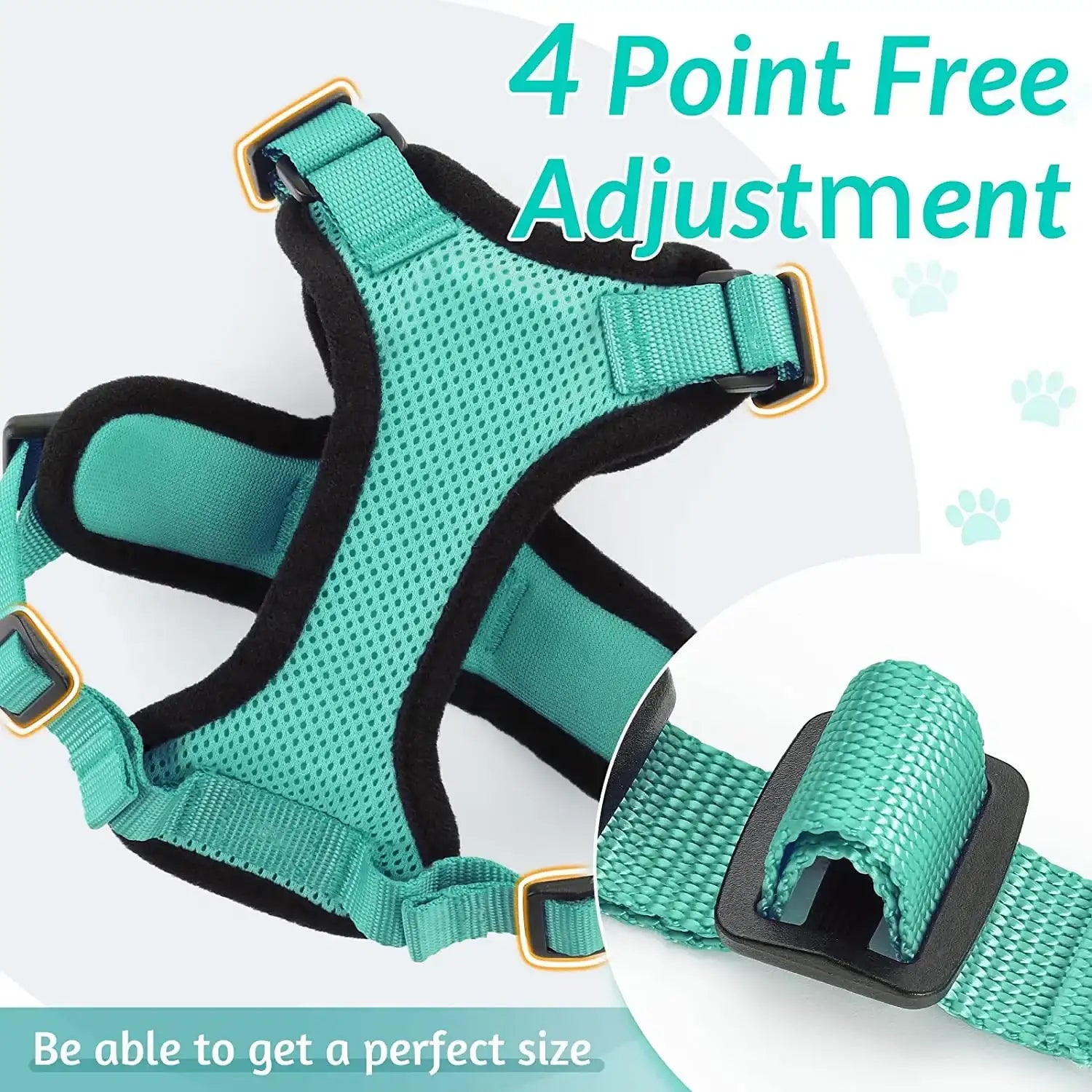 Give Your Cat the Comfort & Safety They Deserve!
